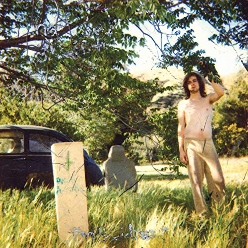 Ariel Pink album cover: man in field with gravestones and car.