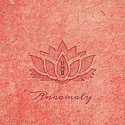 Anaamaly - Urban Metta Vol 2 [CD]
