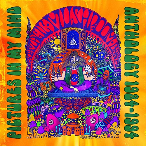 Magic Mushroom Band - Pictures In My Mind - Anthology 1984-1994 [CD]
