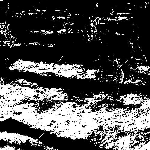 Von Grall - The Transformation Is Conformal [VINYL]