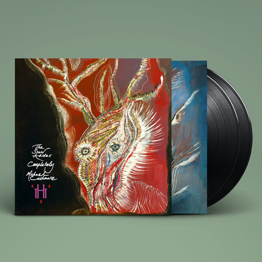 Michael Cashmore - Snow Abides Completelythe [VINYL]
