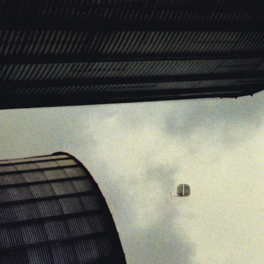 Bogus Blimp - Rdtr [VINYL]