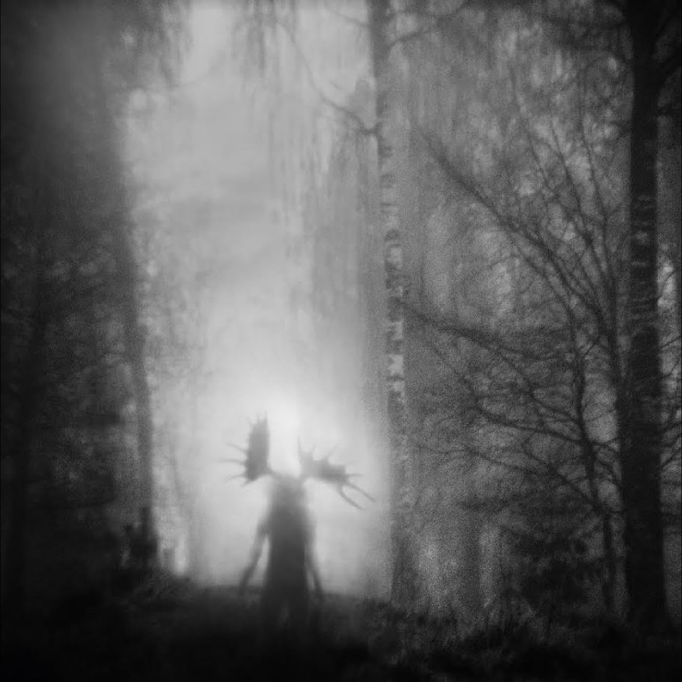 Iterum Nata - From The Infinite Light [CD]