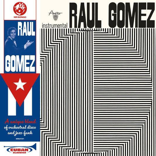Raul Gomez vinyl record cover with portrait and geometric design.