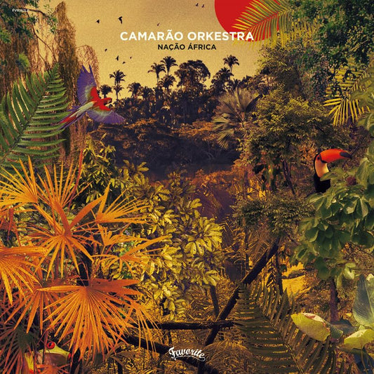 CD cover with tropical foliage, birds, and the title “Nação África.”
