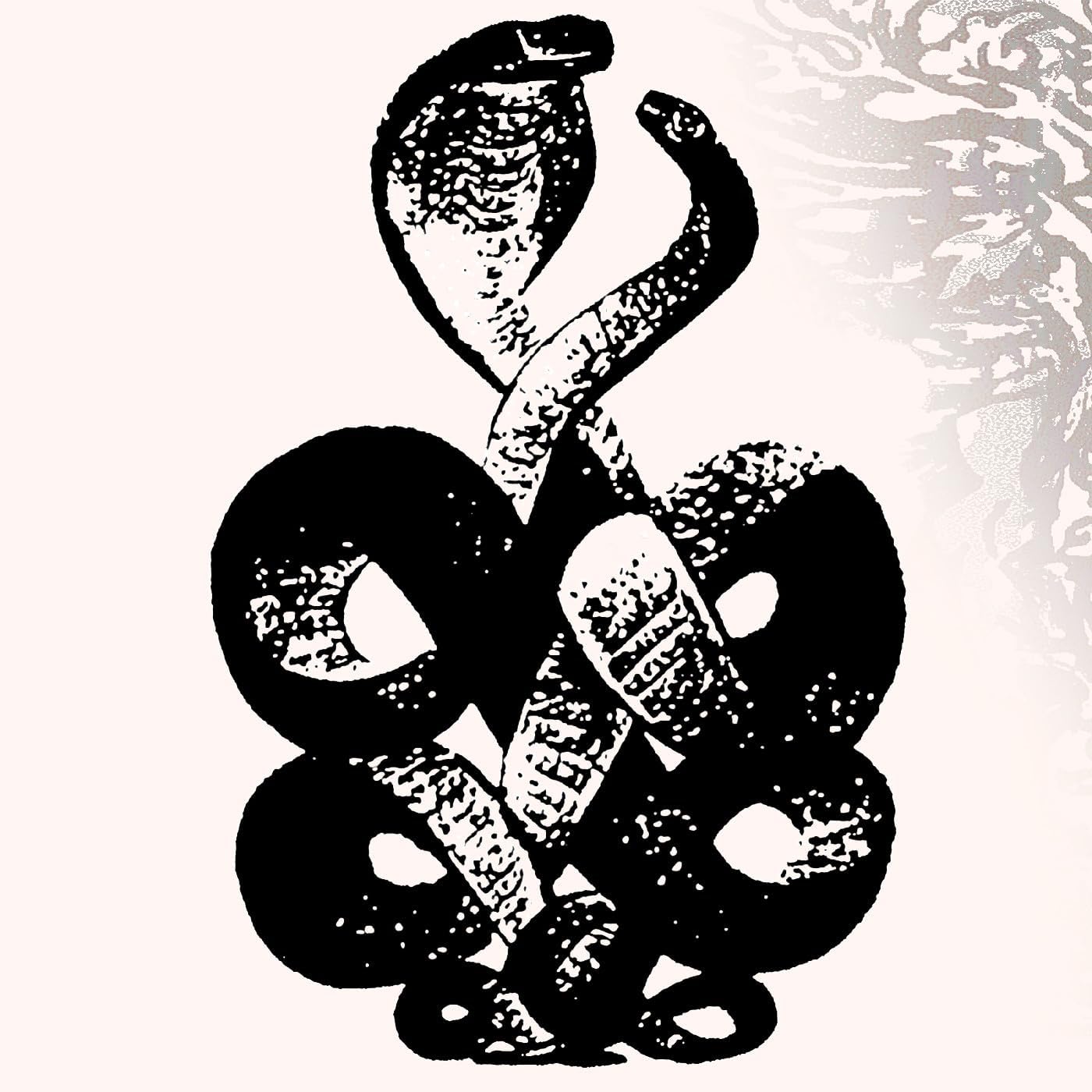 Bardo Pond - Volume 4 & 5 [VINYL]