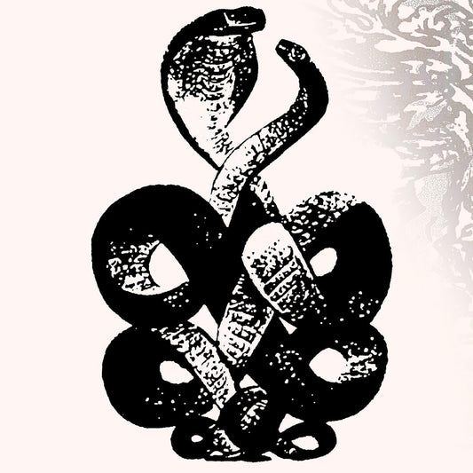 Bardo Pond - Volume 4 & 5 [VINYL]