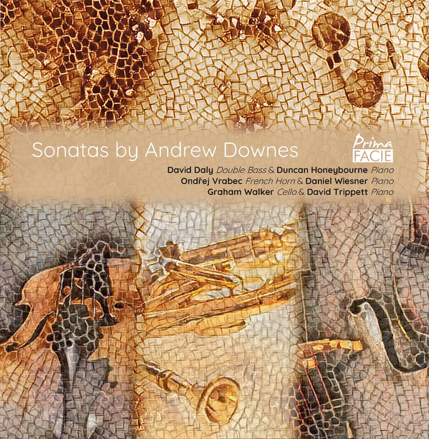 David Daly Duncan Honeybourne - Sonatas By Andrew Downes [CD]