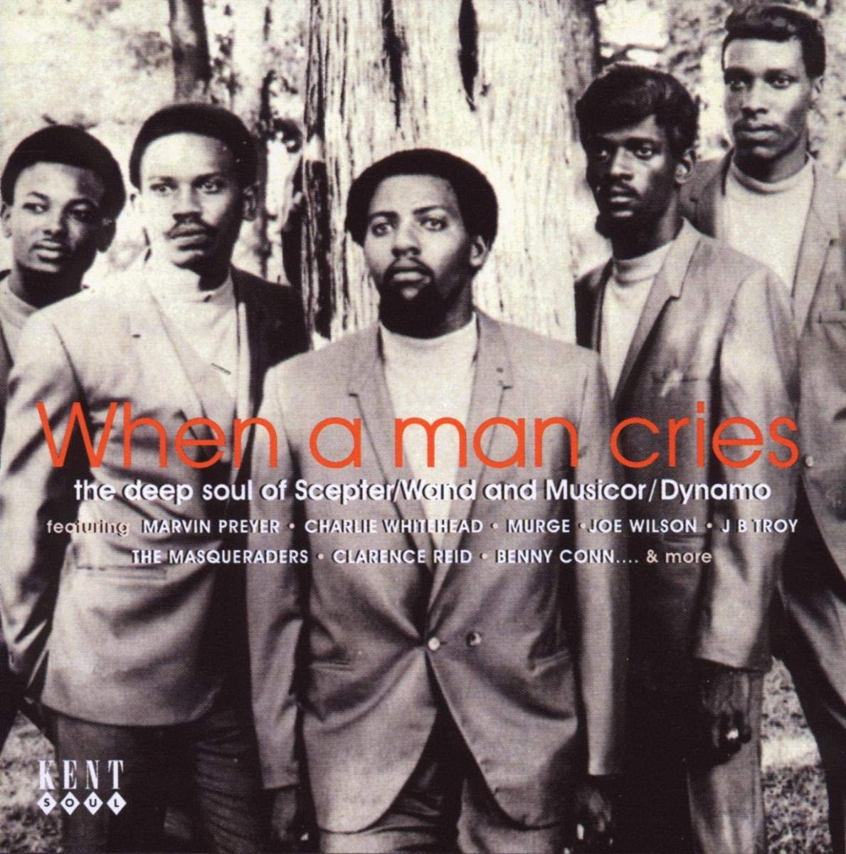 Various Artists - When A Man Cries / Various [CD]