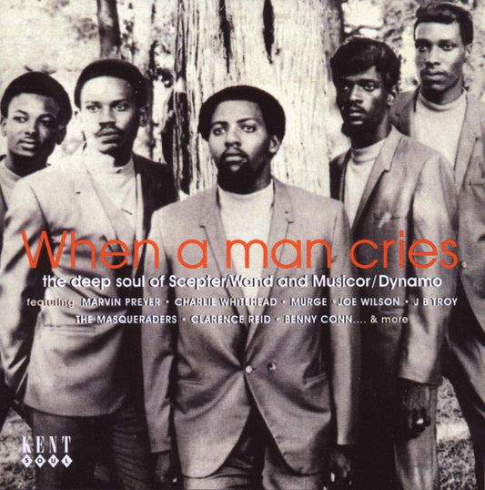 Various Artists - When A Man Cries / Various [CD]