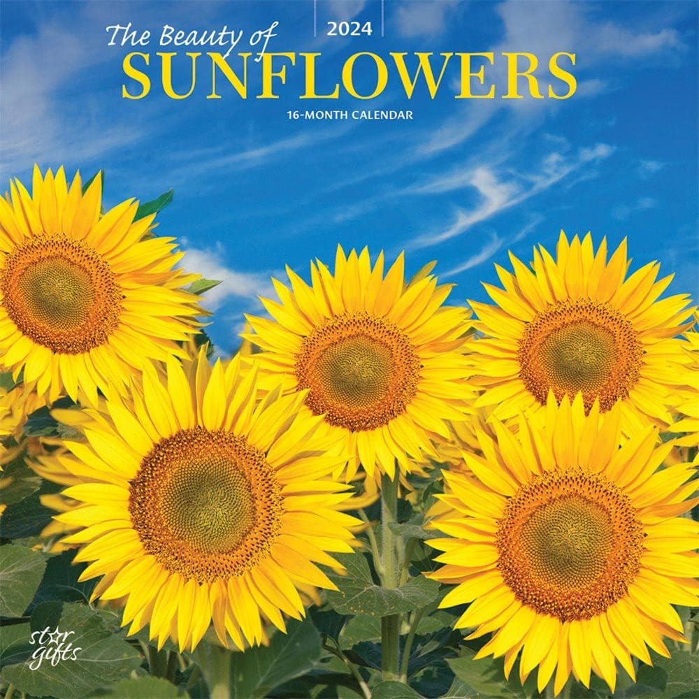 The Beauty of Sunflowers 2024 Monthly Square Wall Calendar