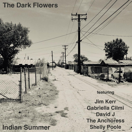 The Dark Flowers - Indian Summer [CD]