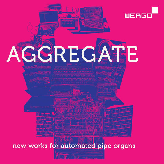SLEDZIECKI/WORLE - AGGREGATE [CD]