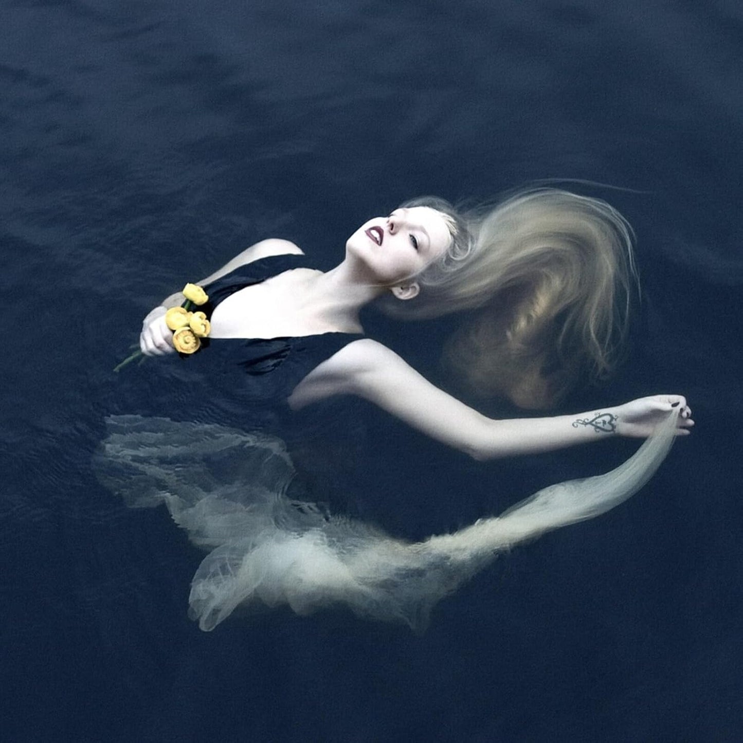Sylvaine - Silent Chamber Noisy Heart- R [CD]