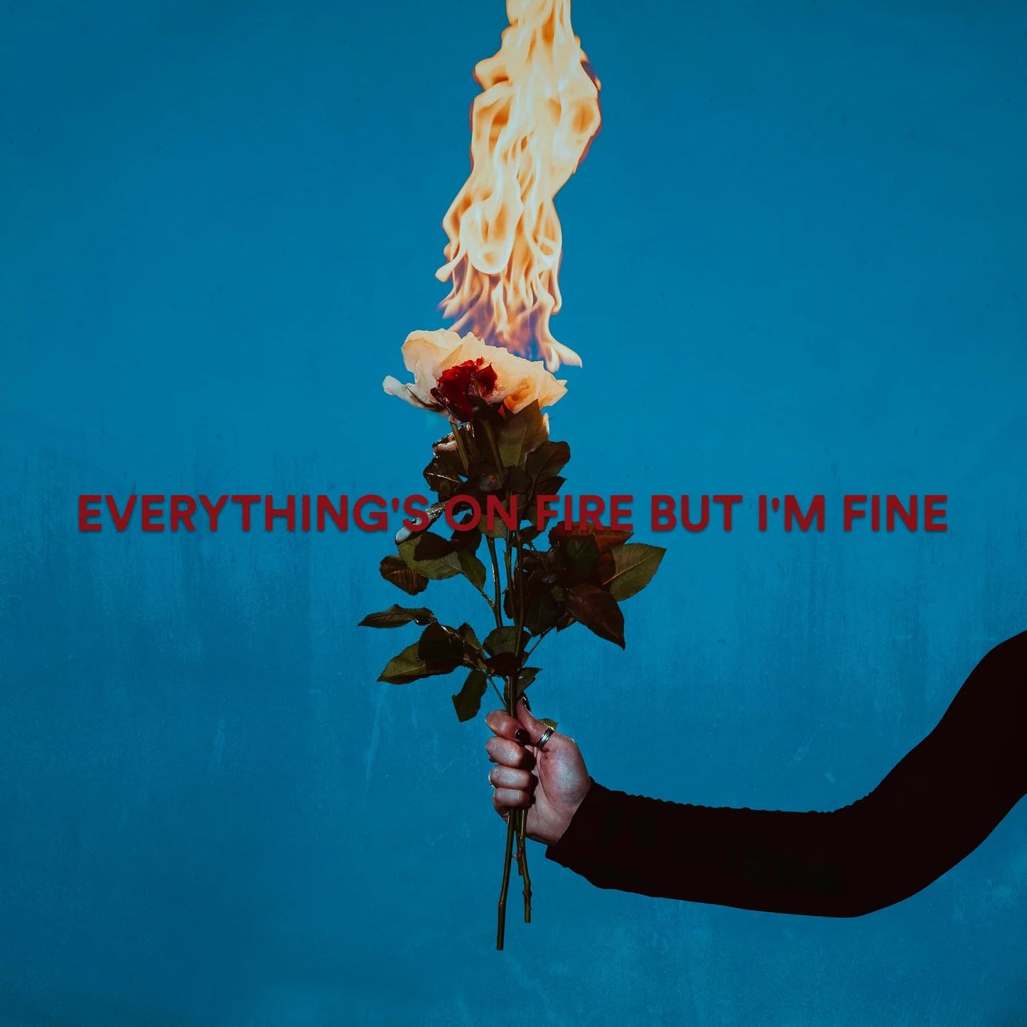 As December Falls - Everything's On Fire But I'm Fine [CD]
