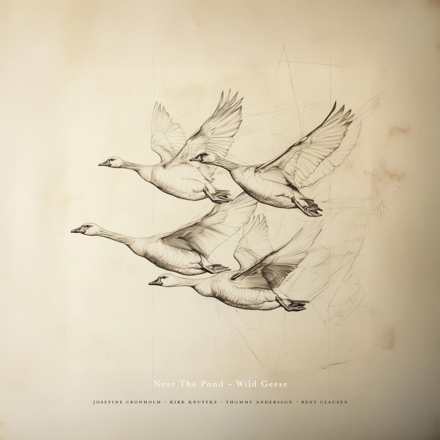Near The Pond - Wild Geese (Vinyl) [VINYL]