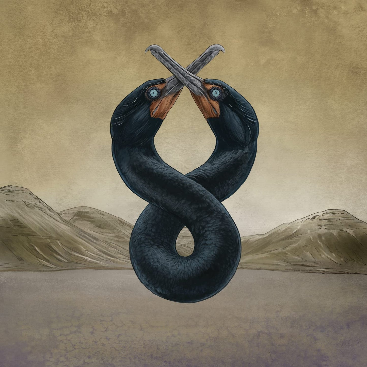 San Fermin - Cormorant I & II [VINYL]