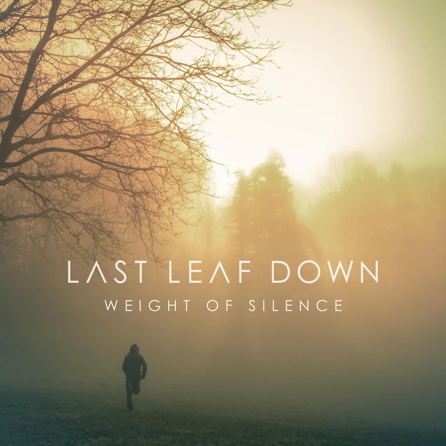 Last Leaf Down - Weight Of Silence [CD]