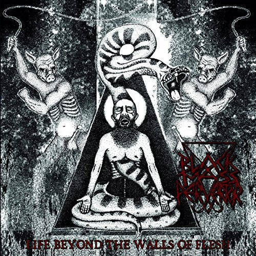 Black Mass Pervertor - Life Beyond The Walls Of Flesh [VINYL]
