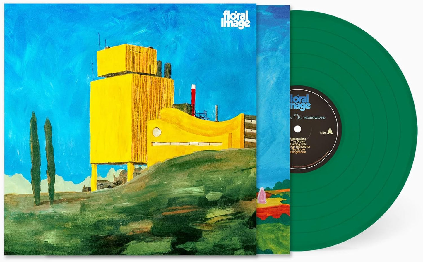 Floral Image - Gone Down Meadowland [VINYL]