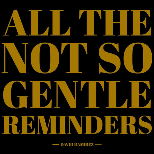 David Ramirez - All The Not So Gentle Reminder [VINYL]