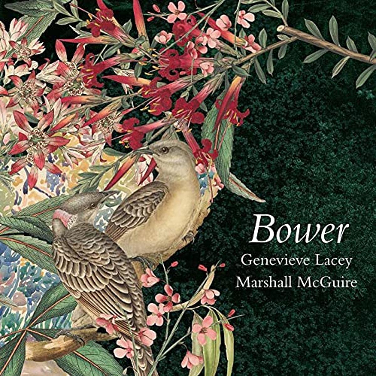 Genevieve Lacey Marshall Mcguire - Bower - Music For Recorder & Harp [CD]