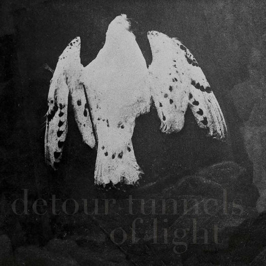 Martin Kuchen & Sophie Agnel - Detour Tunnels Of Light [CD]