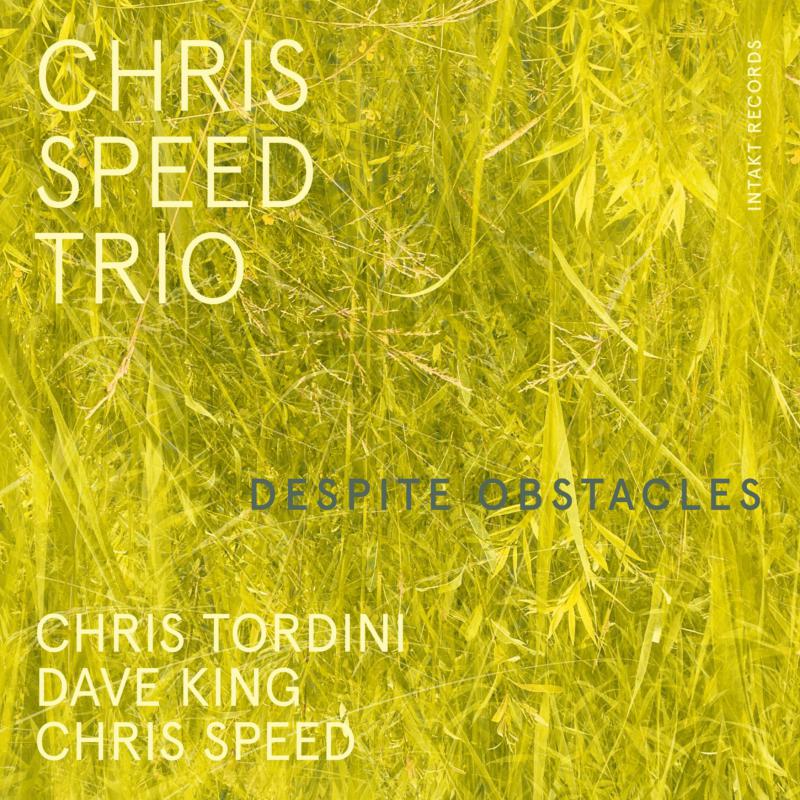 Chris Speed Trio - Despite Obstacles [CD]