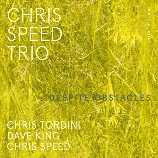 Chris Speed Trio - Despite Obstacles [CD]