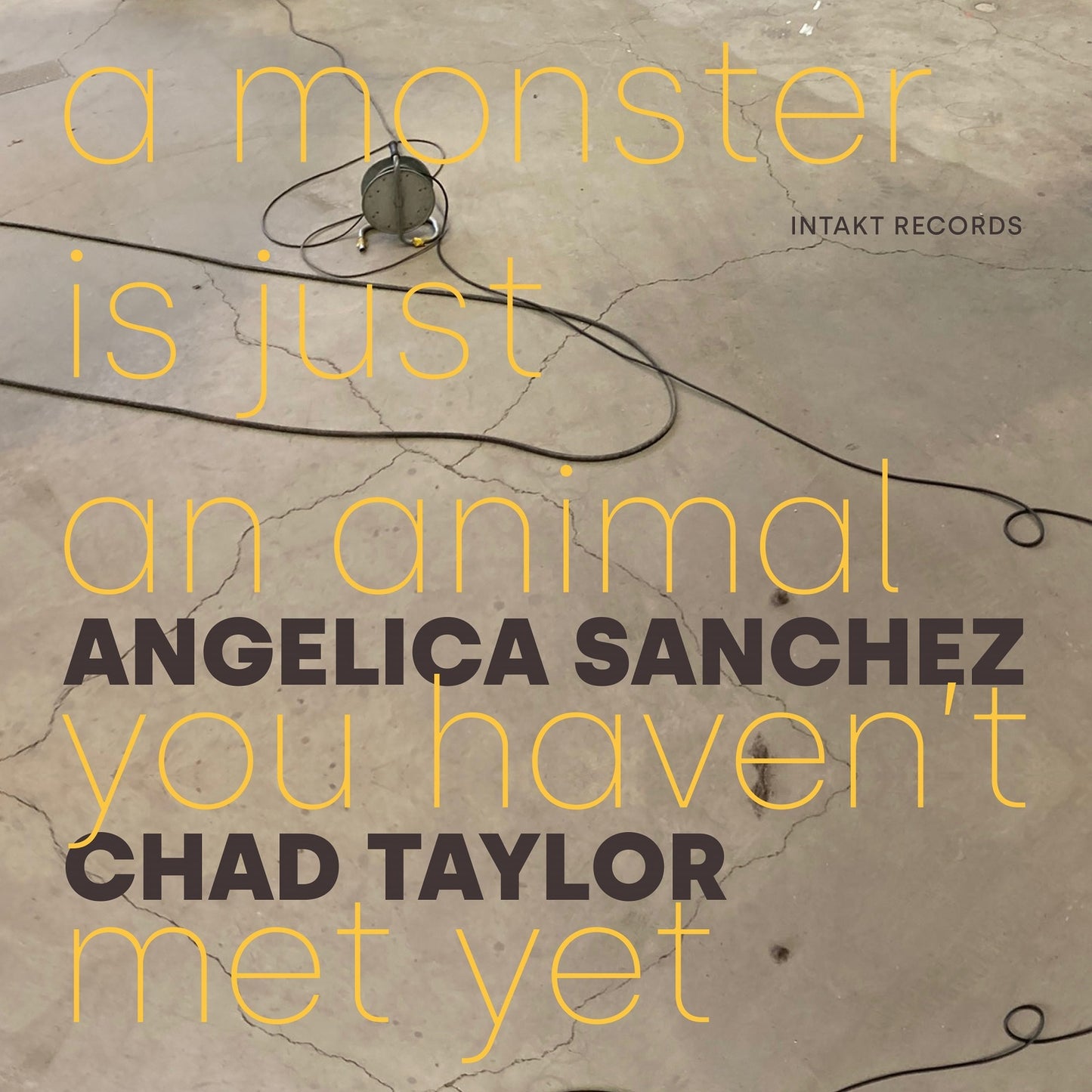 Sanchez Angelica - Chad Taylor - A Monster Is Just An Animal Yo [CD]
