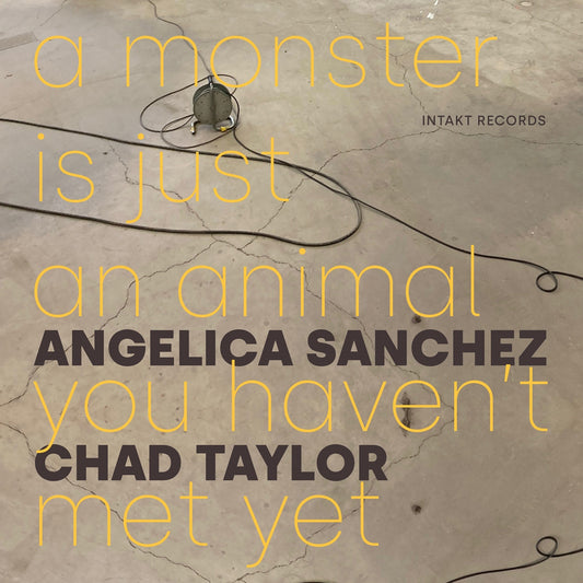Sanchez Angelica - Chad Taylor - A Monster Is Just An Animal Yo [CD]