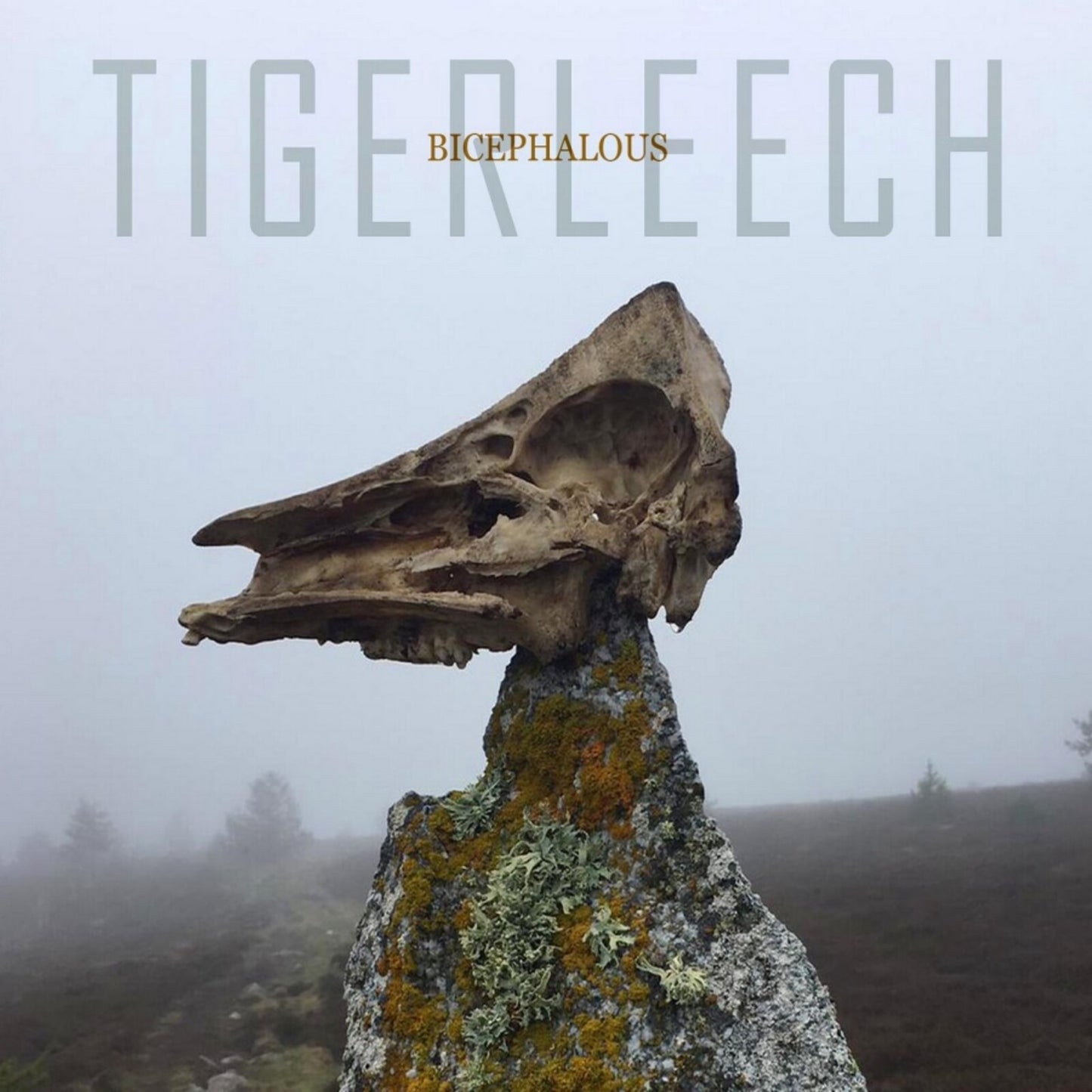 Tigerleech - Bicephalous [CD]
