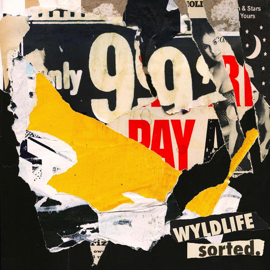 Wyldlife - Sorted. [VINYL]