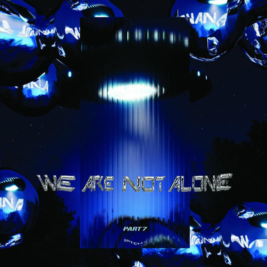 VARIOUS ARTISTS - WE ARE NOT ALONE - PART 7 [VINYL]