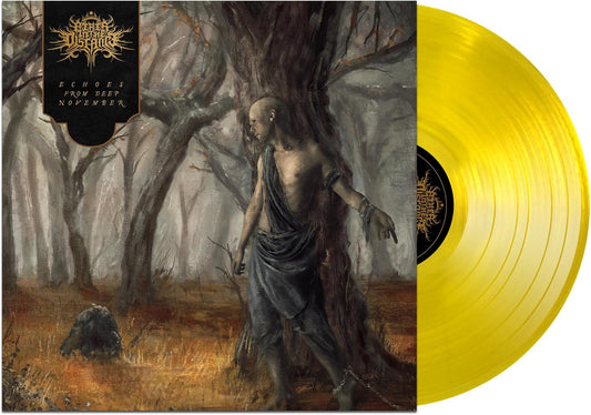 Fires In The Distance - Echoes From Deep November [VINYL]