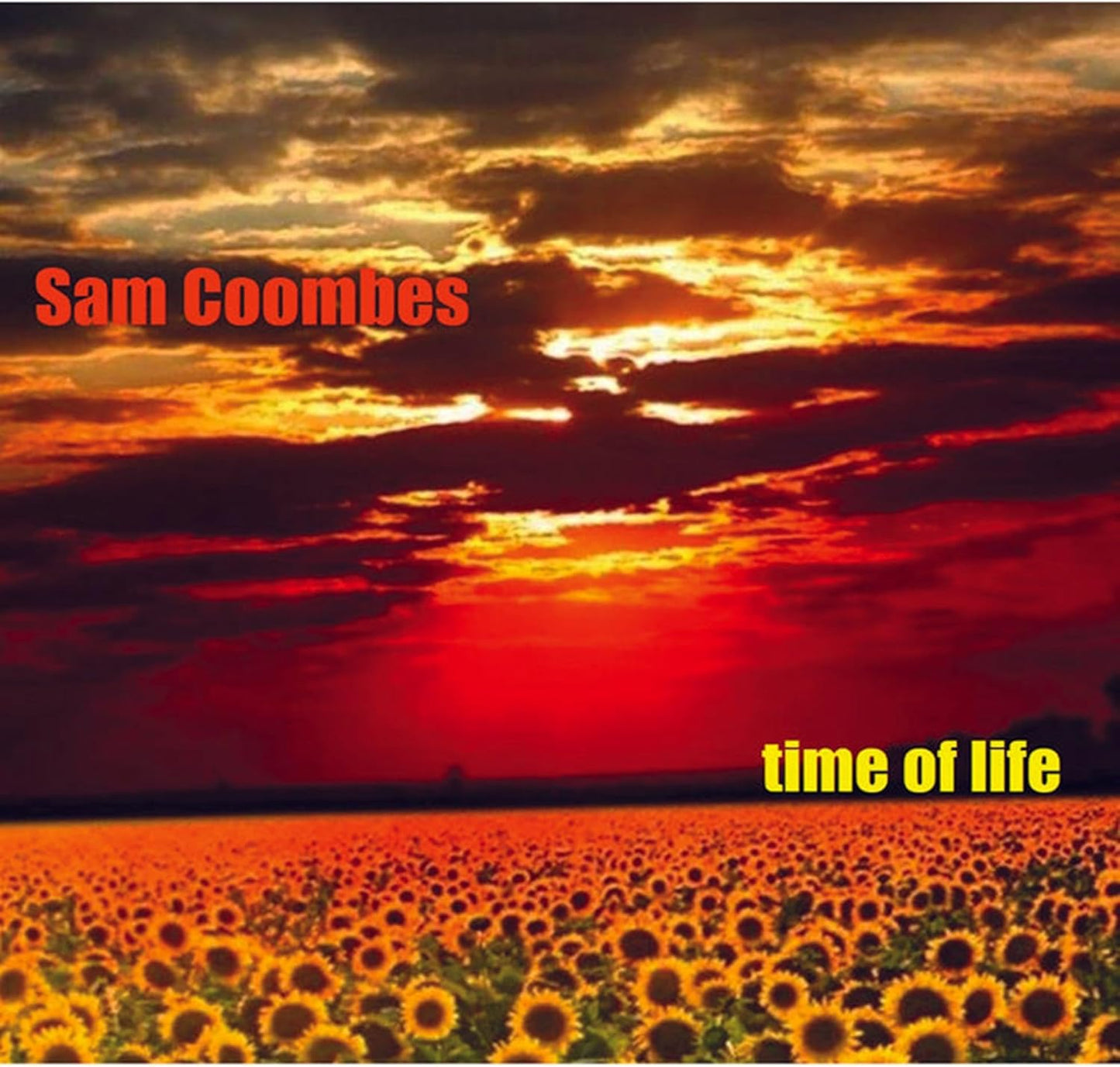 Sam Coombes - Time Of Life [CD]