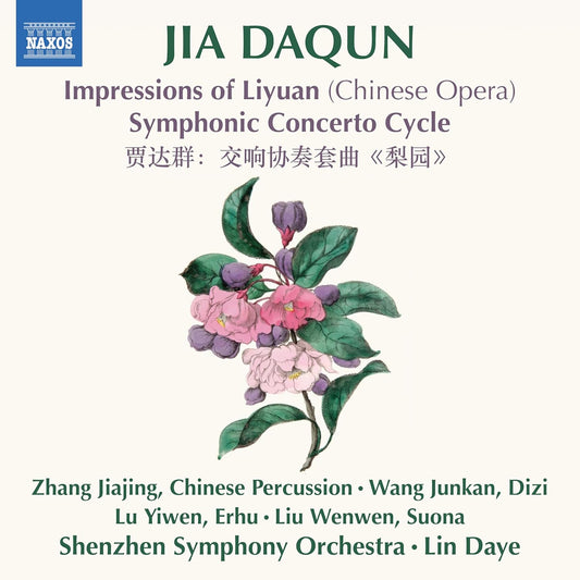 Jiajing/shenzhen So/daye - Daqun - Impressions Of Liyuan [CD]