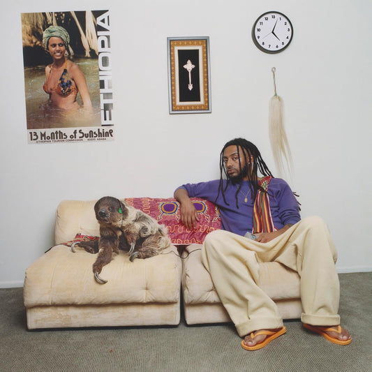 Aminé - 13 Months Of Sunshine [VINYL]