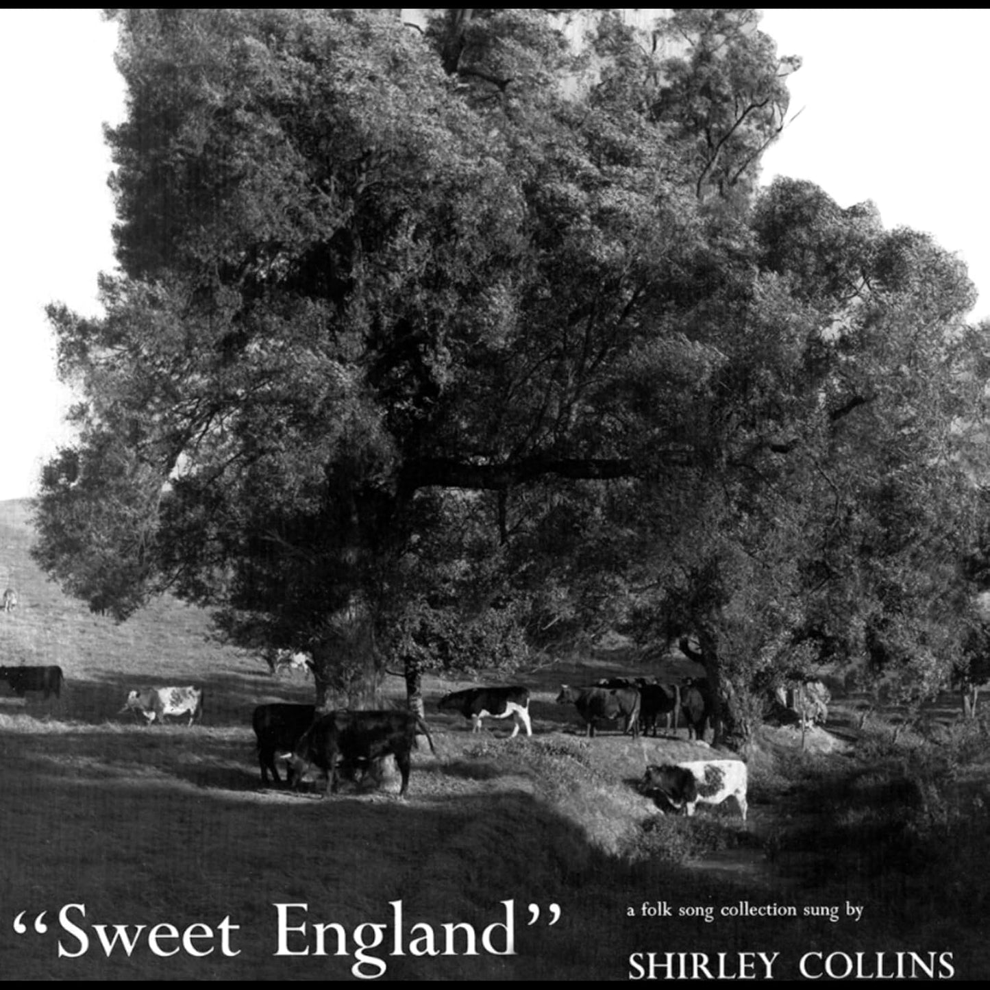 Various - Sweet England [CD]