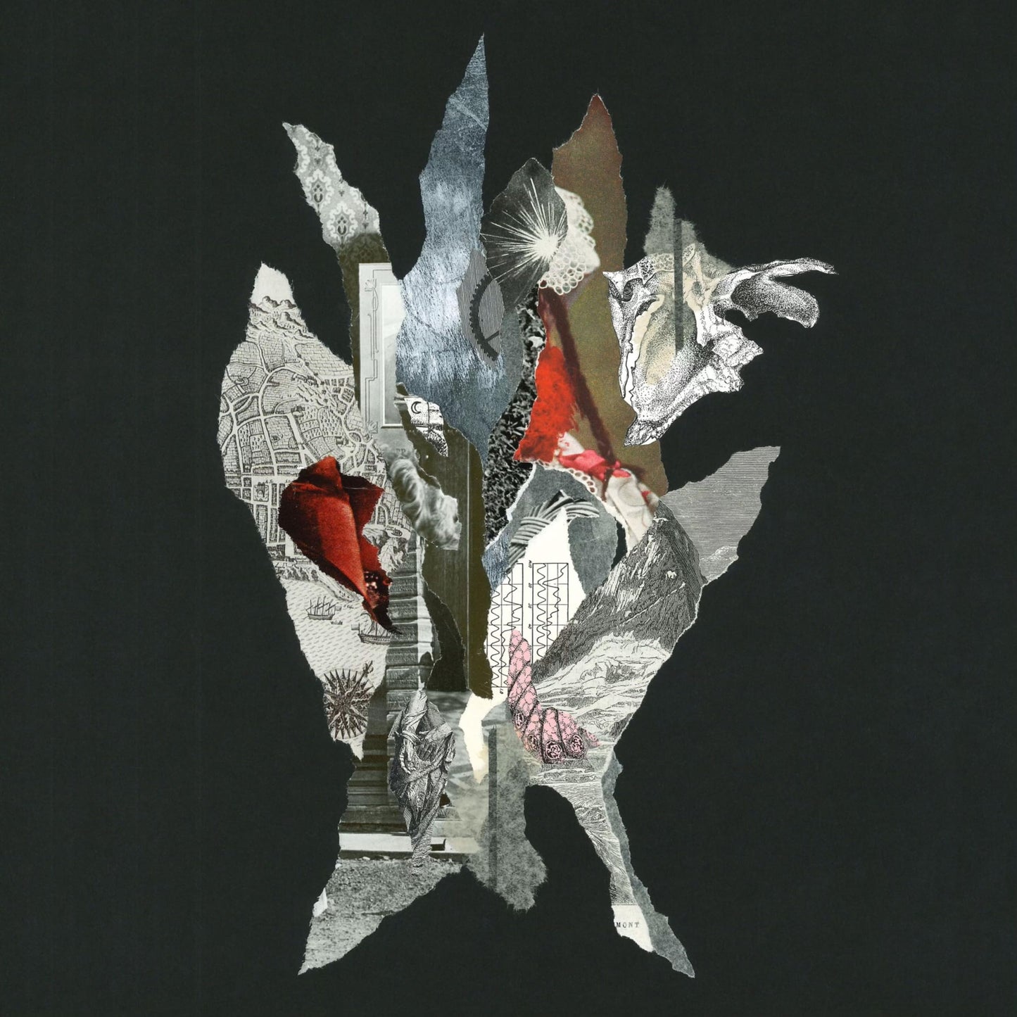 Alas De Liona - Gravity Of Gold (Vinyl) [VINYL]