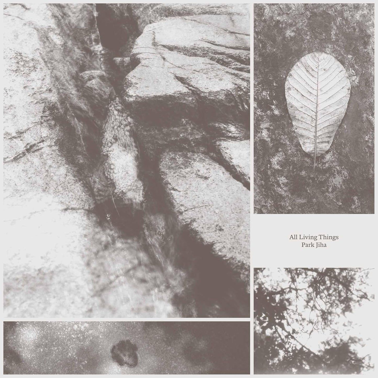 Park Jiha - All Living Things [VINYL]