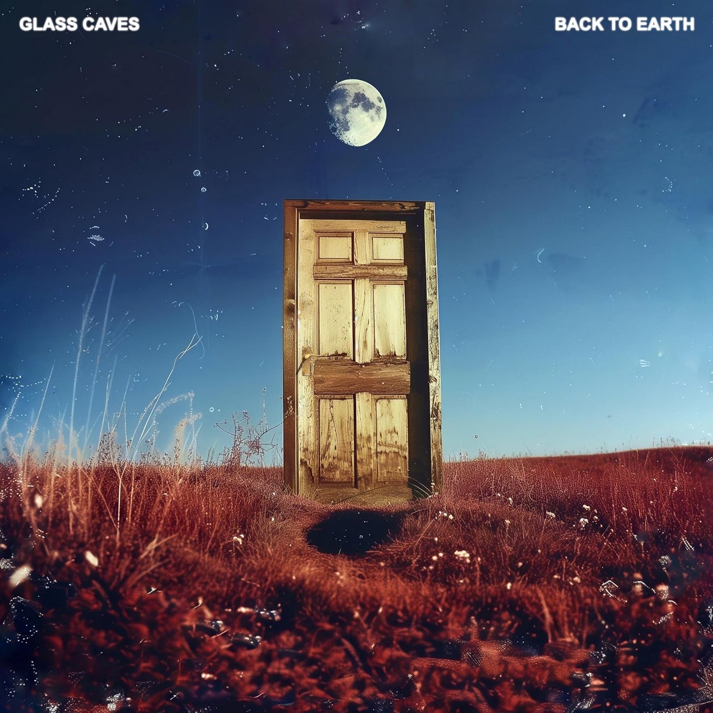 Various - Back To Earth [CD]