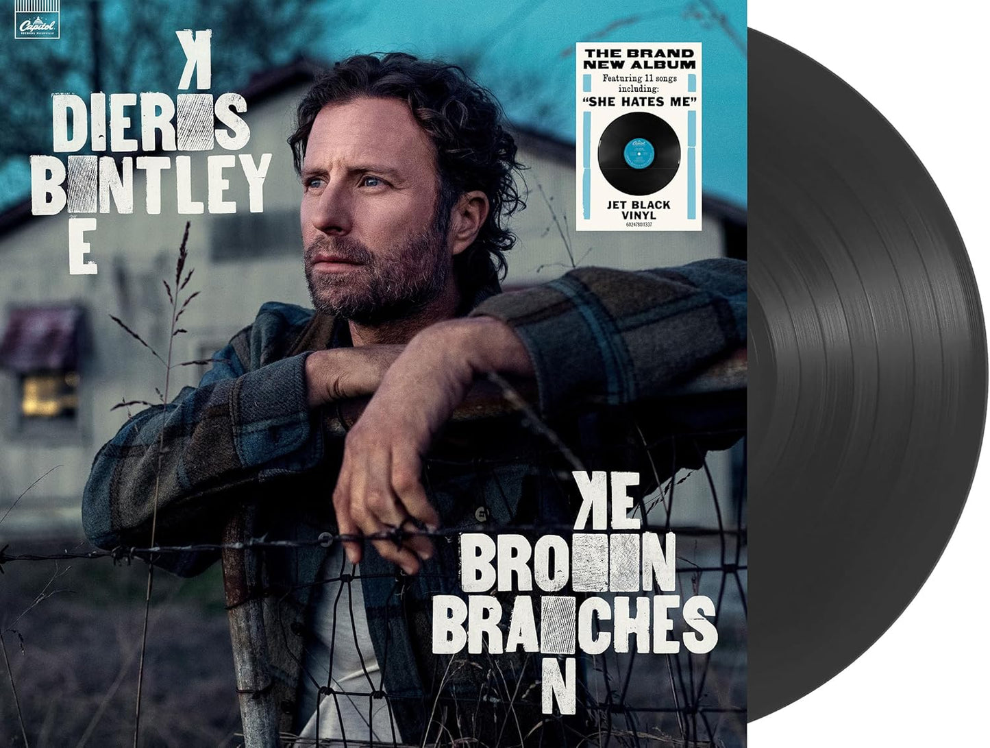 Various - Broken Branches (Jet Black Vinyl) [VINYL]