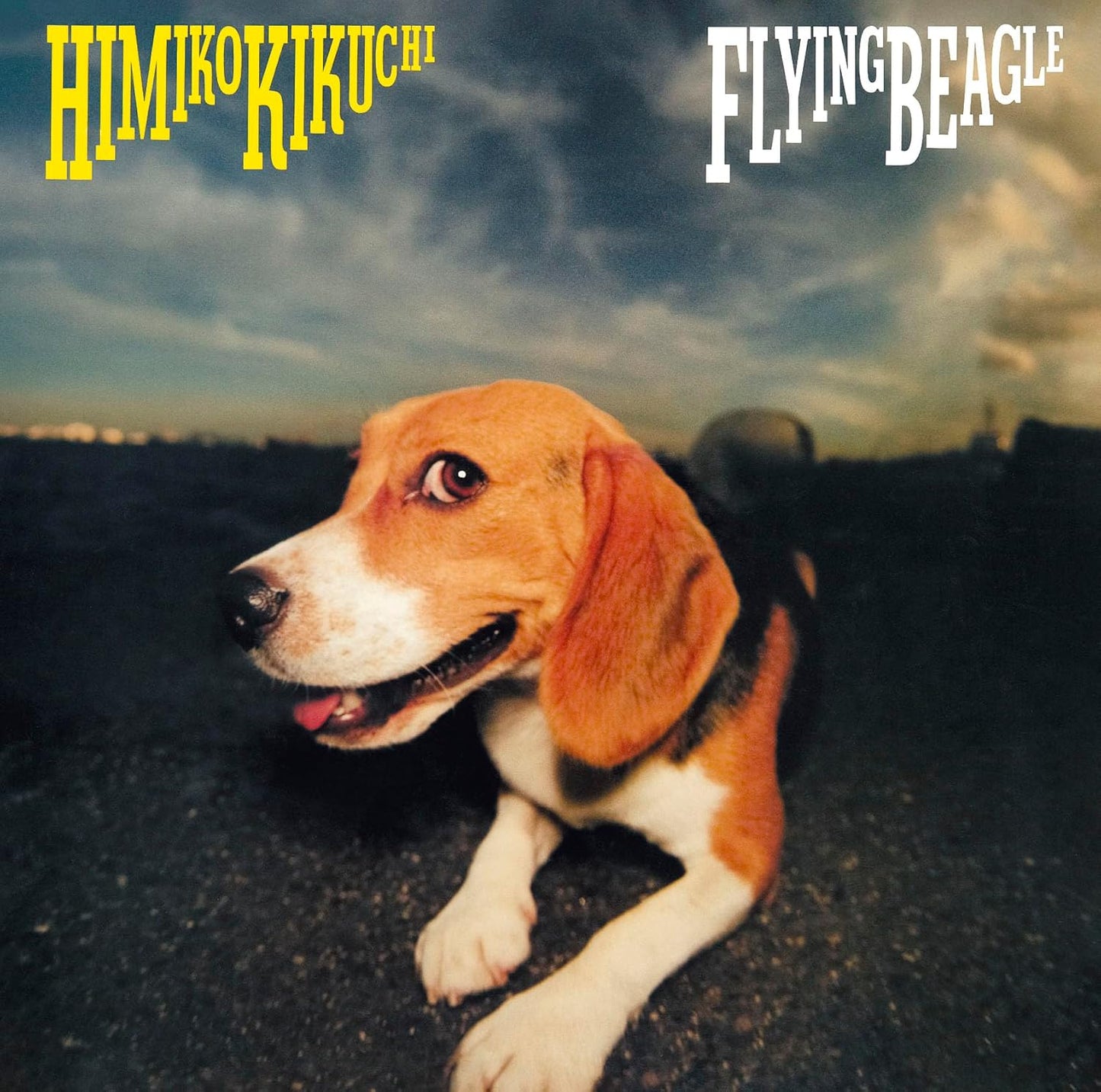 Various - Flying [VINYL]