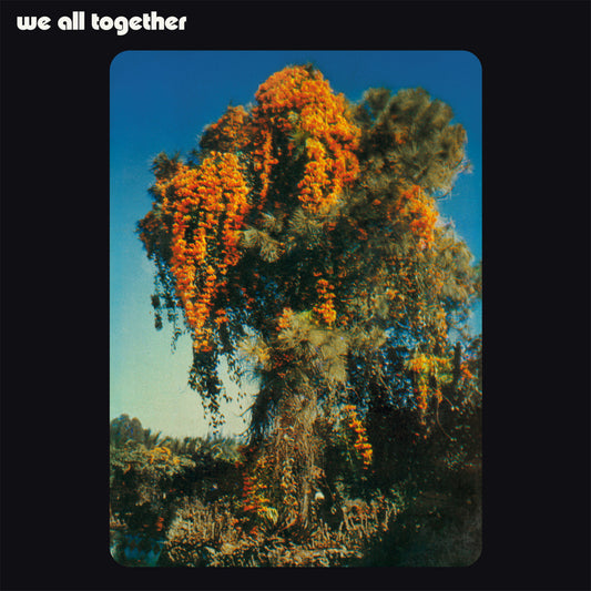 WE ALL TOGETHER - WE ALL TOGETHER [VINYL]