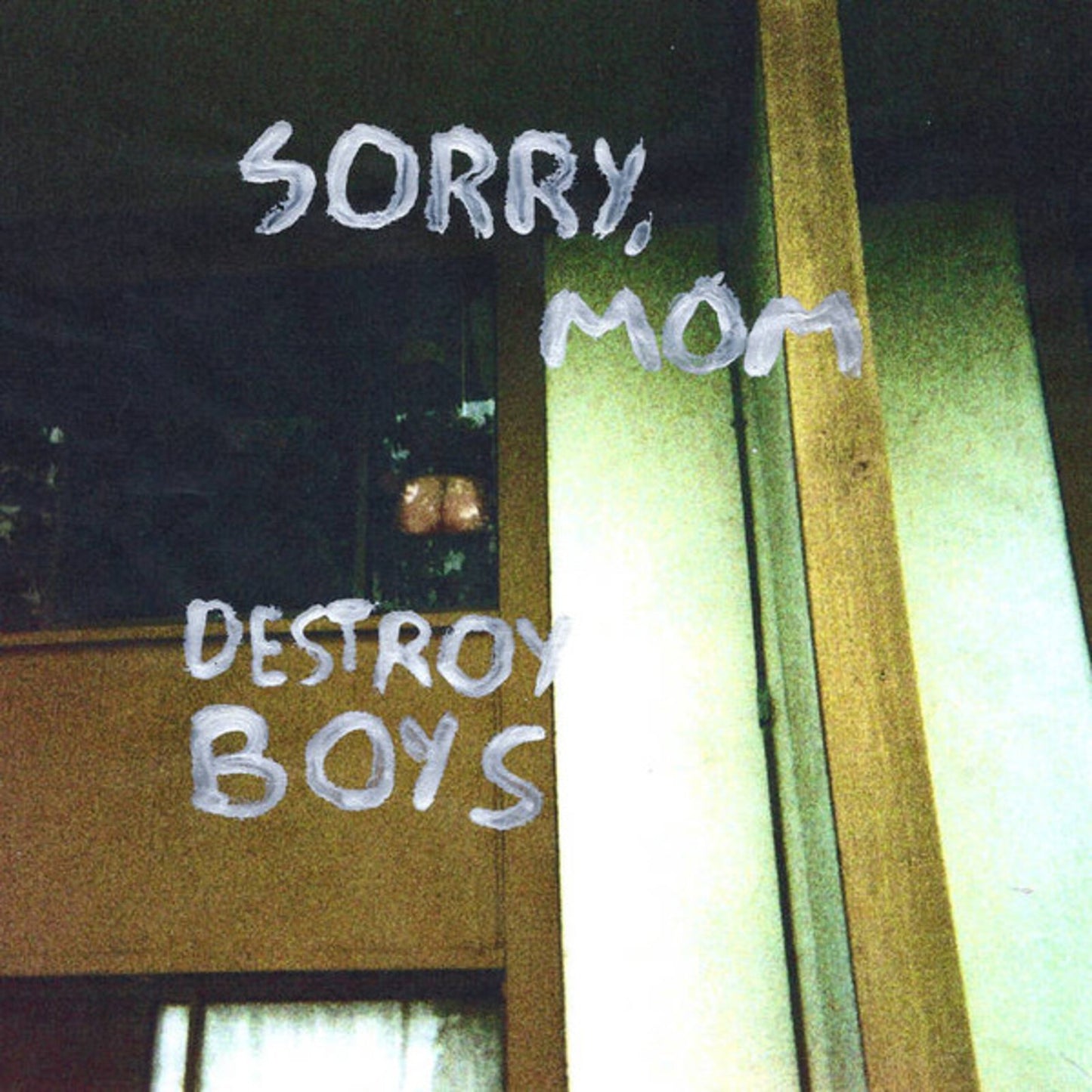 Destroy Boys - Sorry Mom [VINYL]