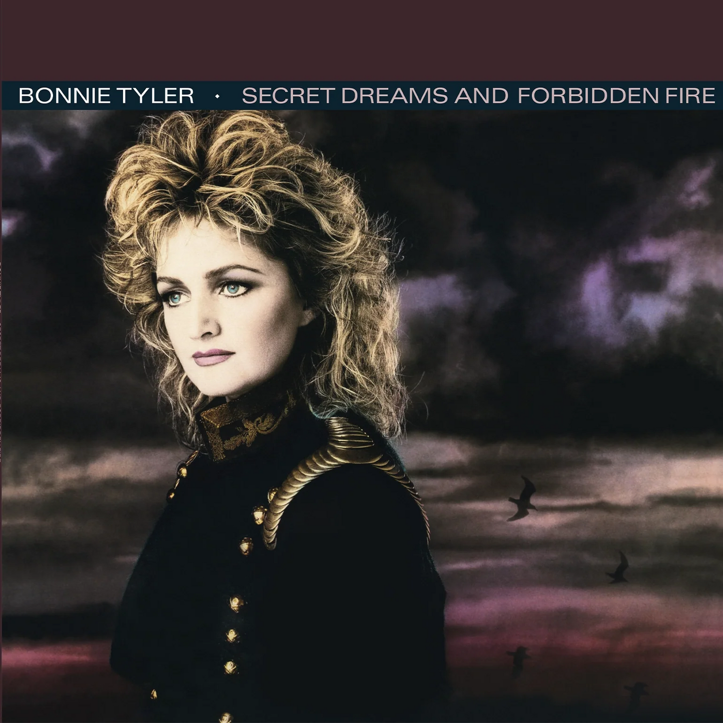 Bonnie Tyler - Secret Dreams And Forbidden Fire [VINYL]