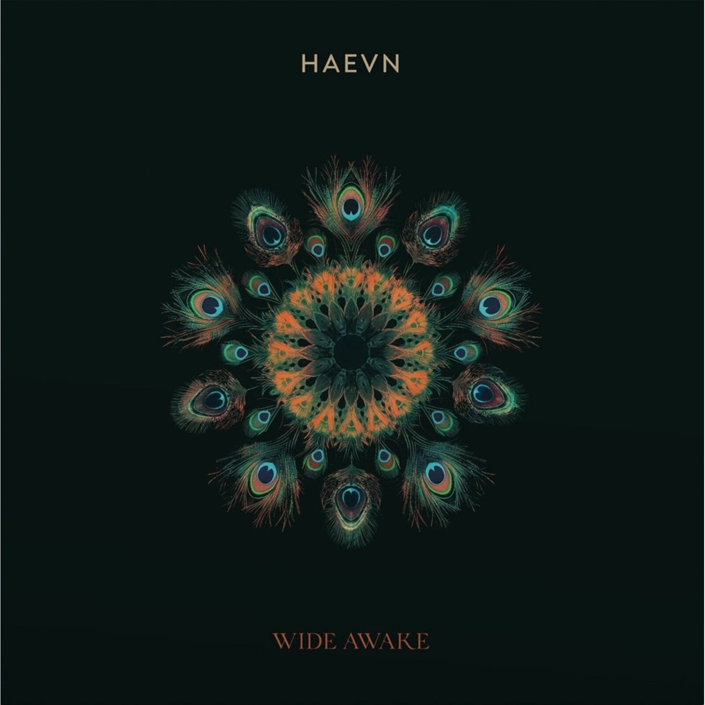 HAEVN - WIDE AWAKE [VINYL]