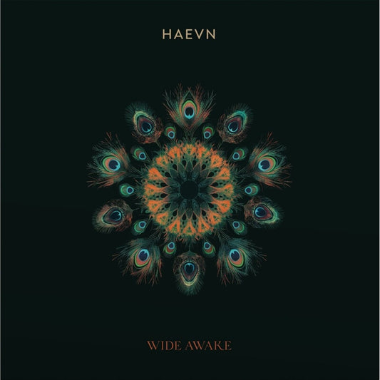 HAEVN - WIDE AWAKE [VINYL]