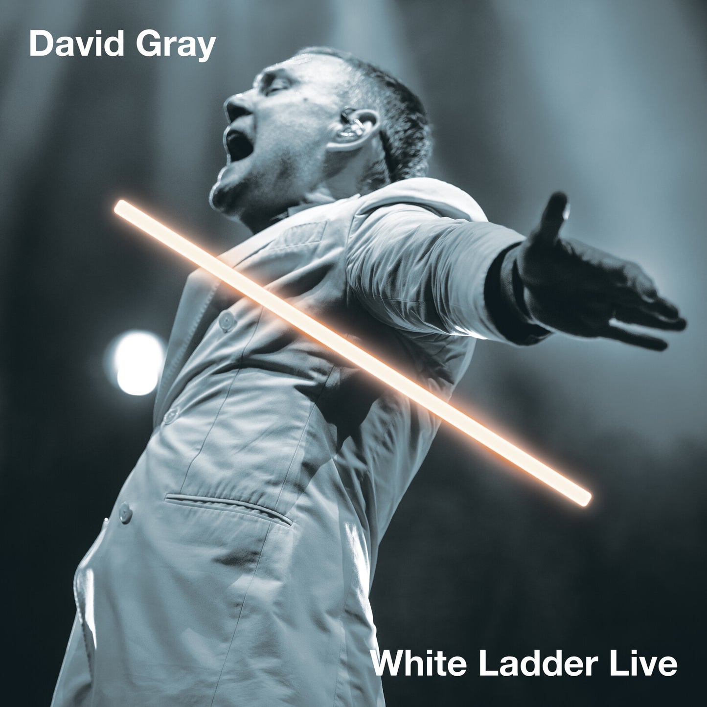 David Gray - White Ladder Live [VINYL]